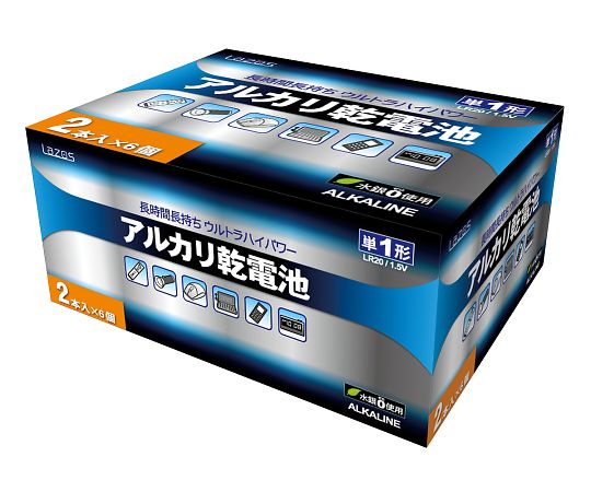 アルカリ乾電池　3-663/単1形